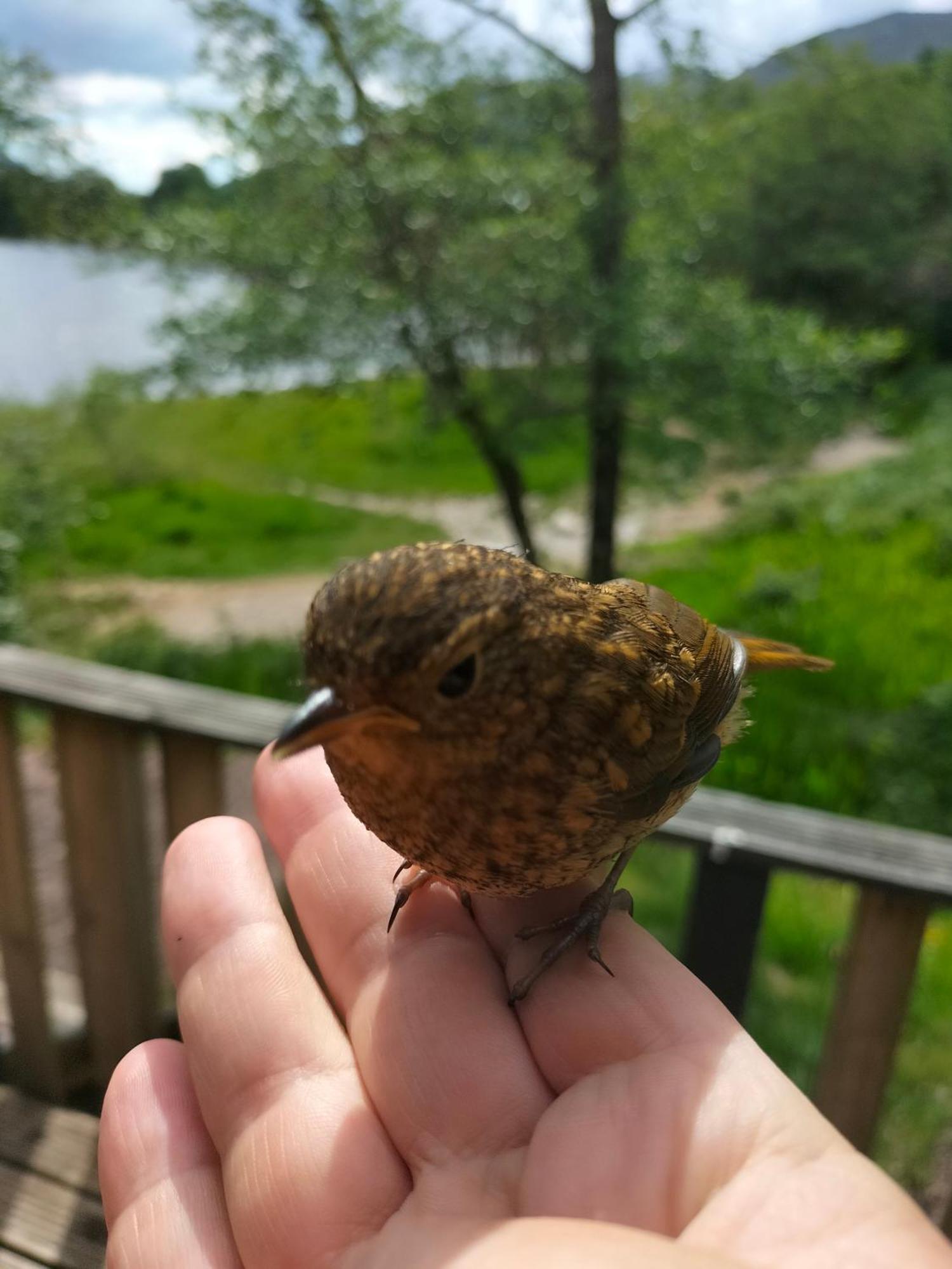 Glenfinnan Retreats 外观 照片